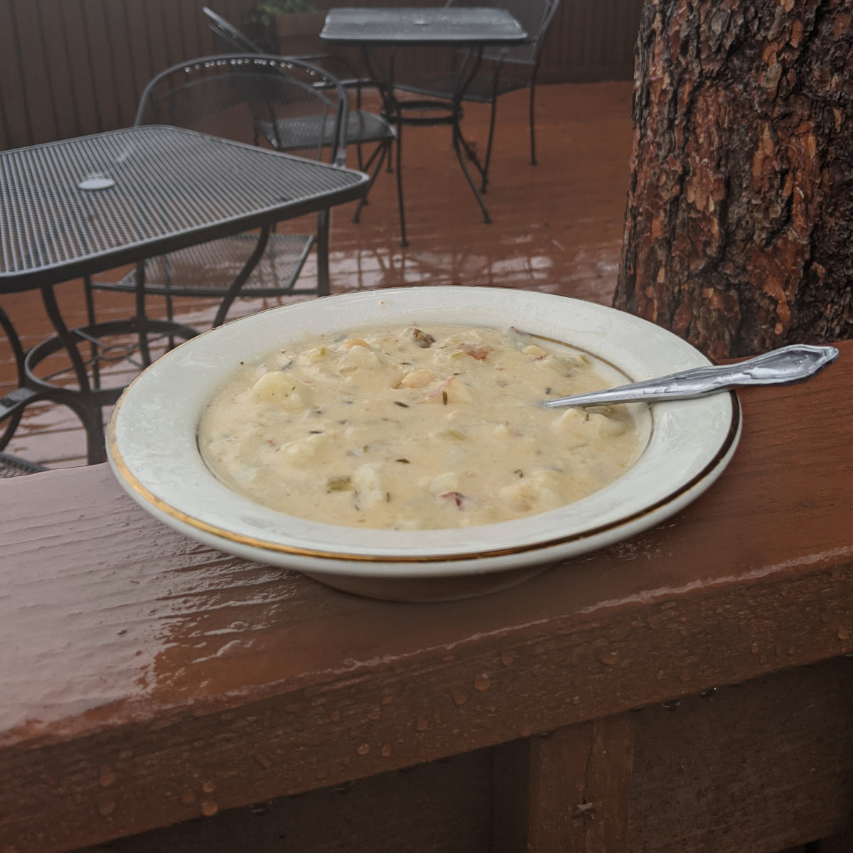 Bar Harbor Clam Chowder Postcard Foods
